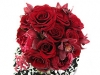4286655643_44f7a19daa_m