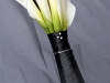 4396335539_5d162918ef_m